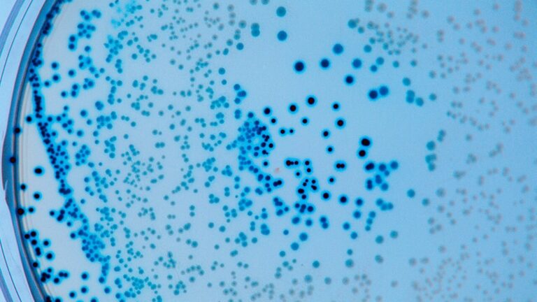 A (Monkey)Pox on Both Their Houses: Two Outbreaks and Two Administrations Later, the U.S. Remains Unprepared for Public Health Emergencies